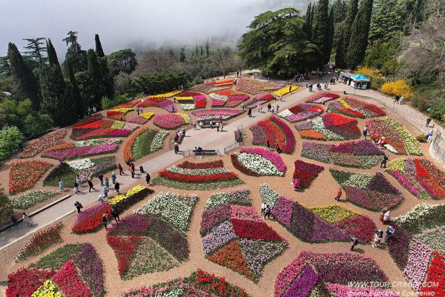 Цветочный калейдоскоп, феерия красок, нежность запахов - Парад  тюльпанов 2023 в Никитском саду
