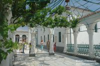DSC04517