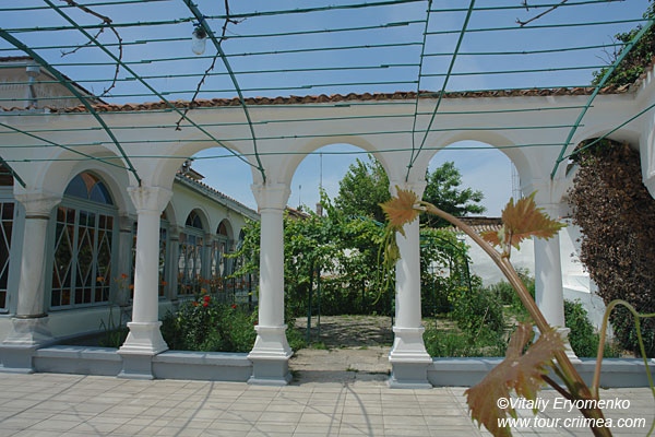 DSC04543