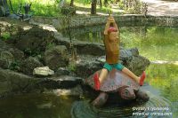 DSC00856