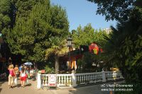 DSC05537
