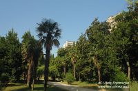DSC05538