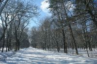 DSC06331