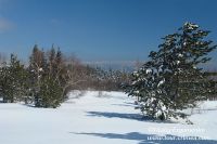 DSC07509