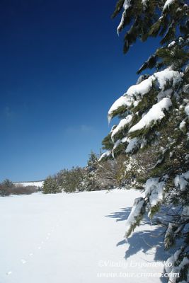 DSC07510