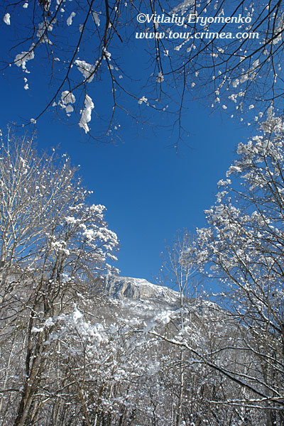 DSC06858