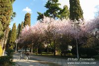 DSC09221
