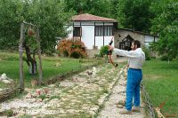 DSC05002