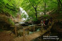 DSC01197
