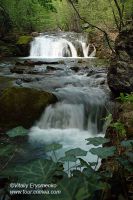 DSC01221