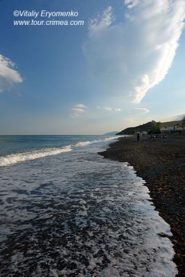 DSC01371
