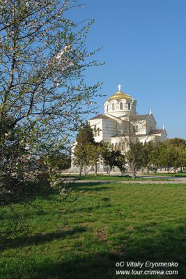 DSC06353