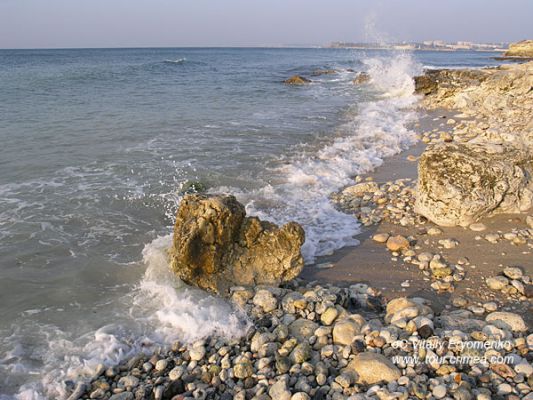 P1012383