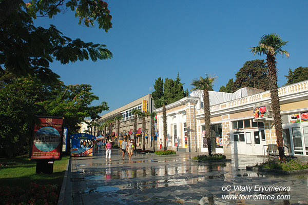 DSC04704