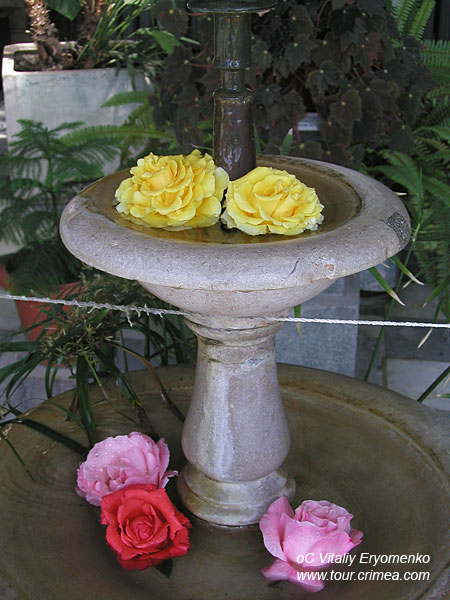 P6206177