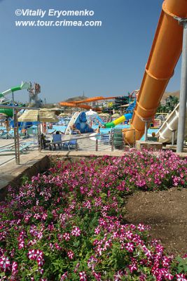 DSC05296