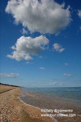 DSC06515