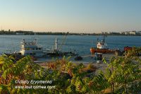 DSC06603