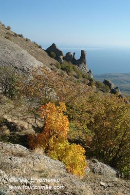 DSC00912