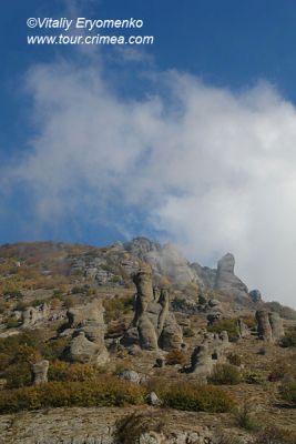 DSC01192