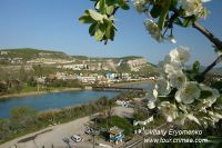DSC00911