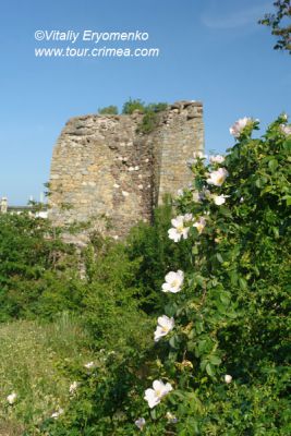 DSC02636