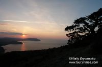 DSC00197