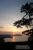 DSC00201