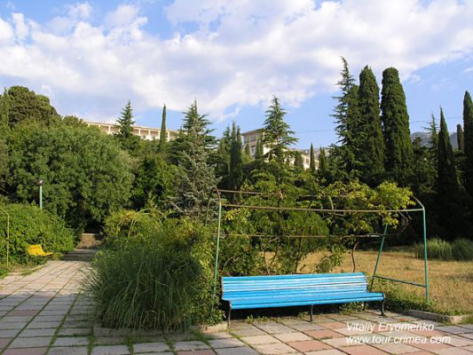 P1015188