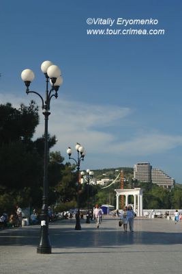 DSC02654