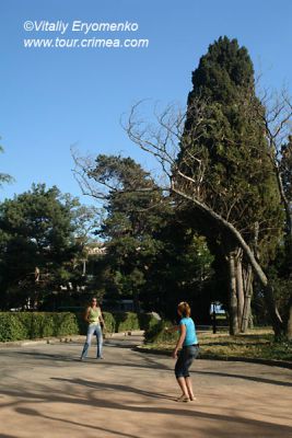 DSC02676