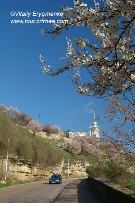 DSC09889