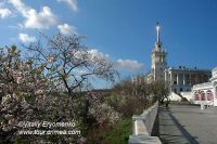 DSC09907