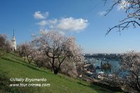 DSC09923