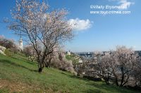 DSC09924