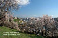 DSC09925