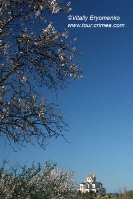 DSC20014