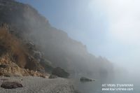 DSC06224