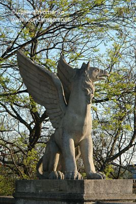 DSC03771