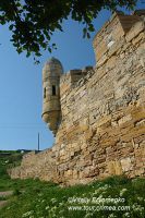 DSC03336