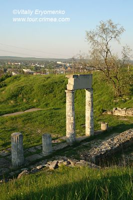 DSC03546