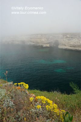 DSC06255