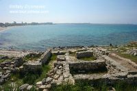 DSC06354