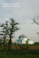 DSC06402