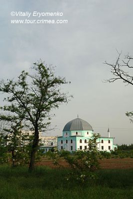 DSC06402