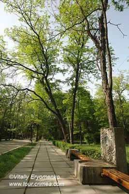 DSC06604