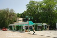 DSC06756