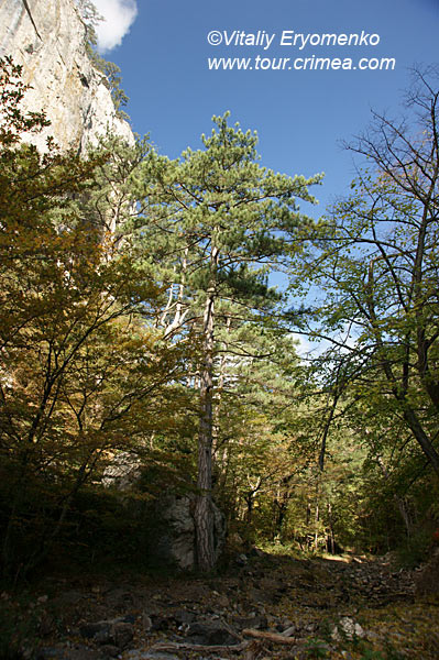 DSC00980