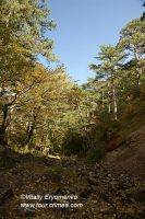 DSC00982