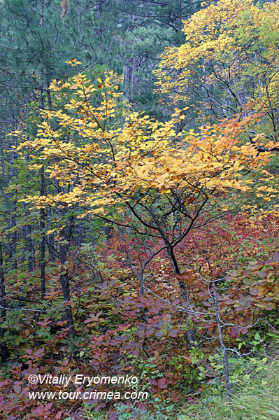 DSC01018